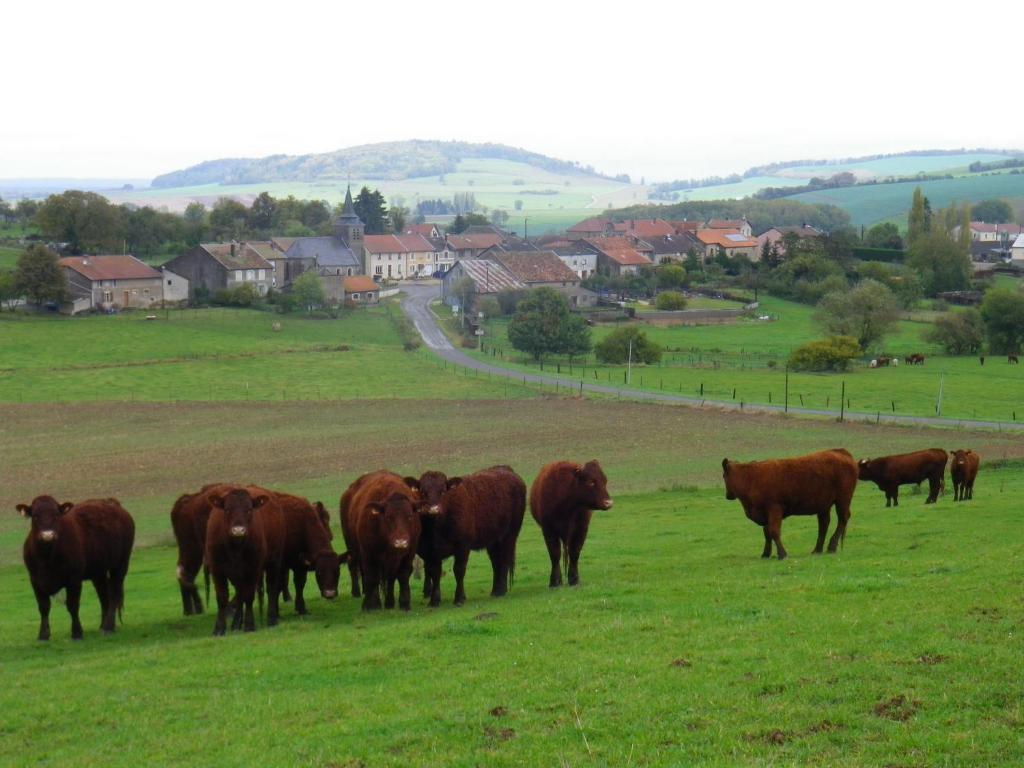 Chambre D'Hotes La Ferme Du Vallon Moirey Kültér fotó
